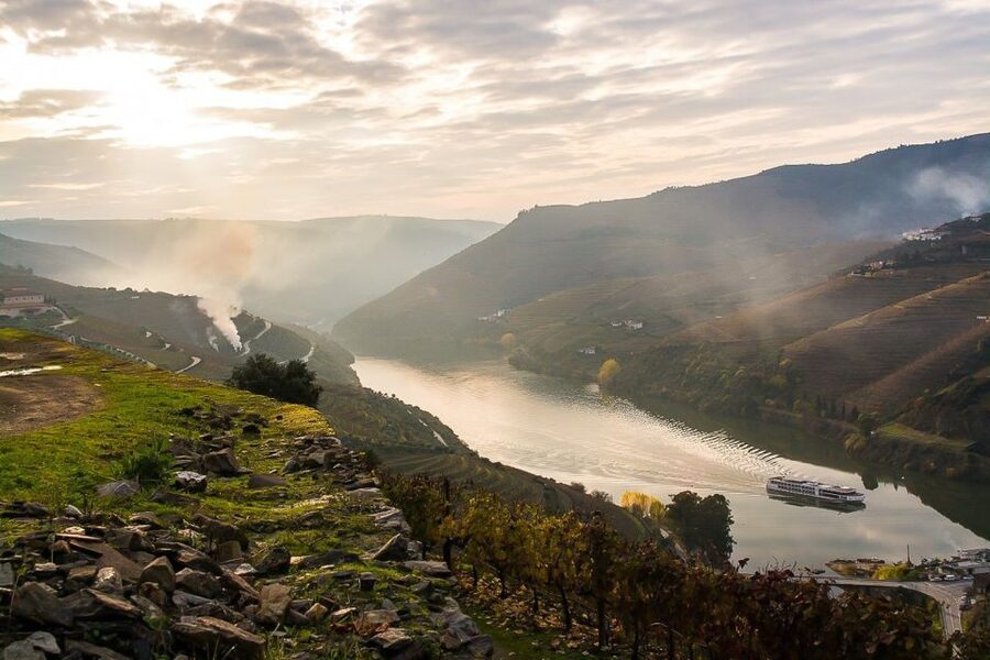 Day Cruise from Porto to Pinhão with Breakfast and Lunch - Food, service, and onboard comfort