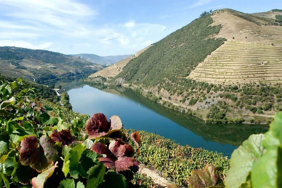 Day Cruise from Porto to Pinhão with Breakfast and Lunch - Who will enjoy this cruise most