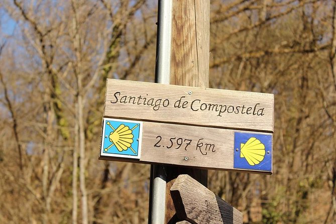 Day Trip from Porto to Santiago de Compostela and Valença - Free time in the old city