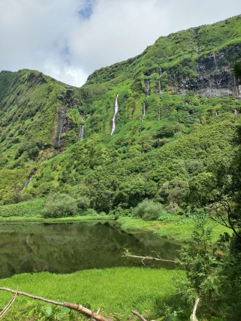Discover Flores – Full-Day Tour | Island of Your Dreams - Santa Cruz to northern Flores: pools, cliffs, and open sea