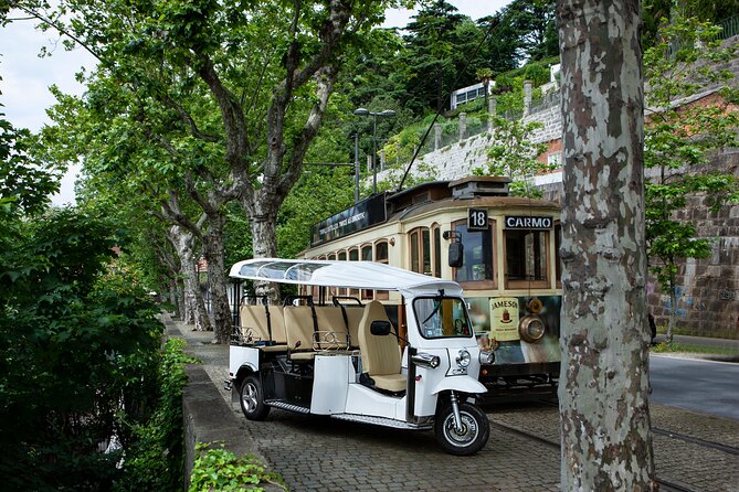 Discover Porto's Highlights on a 2-Hour Private Electric Tuk Tuk - Through Batalha and Porto’s civic center