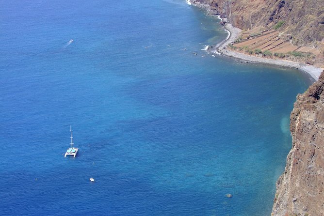 Dolphin and Whale Watching Catamaran Cruise from Funchal - How much value does the cruise offer?