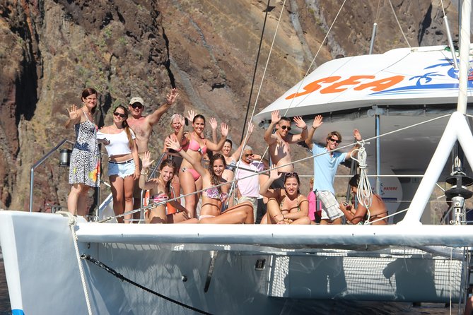 Dolphin and Whale Watching Catamaran Cruise from Funchal - What happens if nothing appears