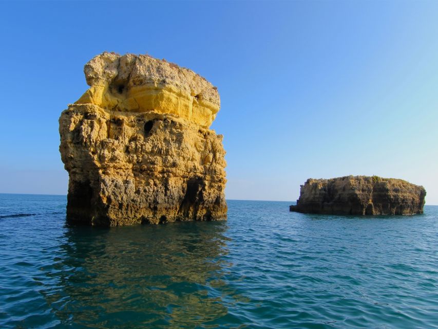 Dolphin Safari and Cave Tour in Vilamoura - Who should book this dolphin and cave cruise?