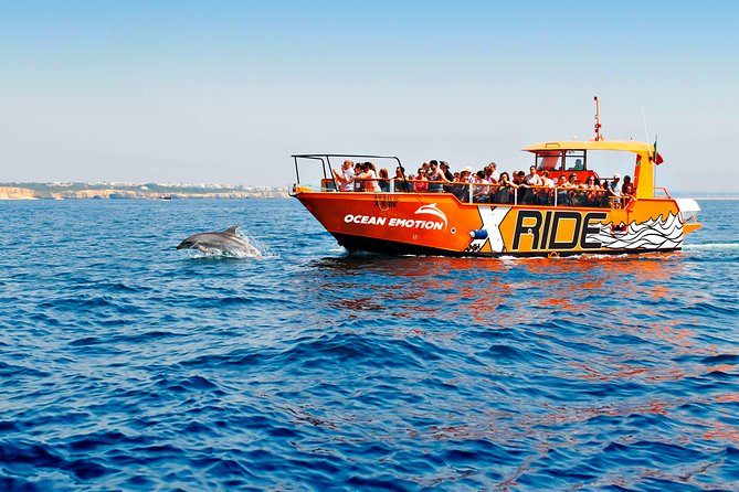 Dolphin Watching and Caves Cruise - At a glance