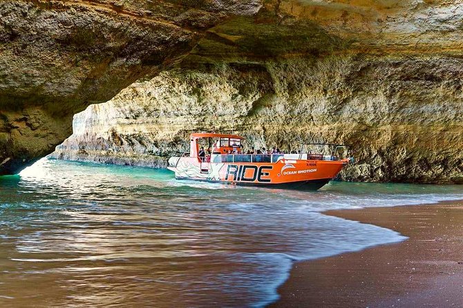 Dolphin Watching and Caves Cruise - The swim stop is a bonus, not a promise