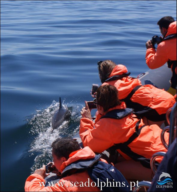 Dolphins Watching - Portimão - The long-tail boat ride into open water