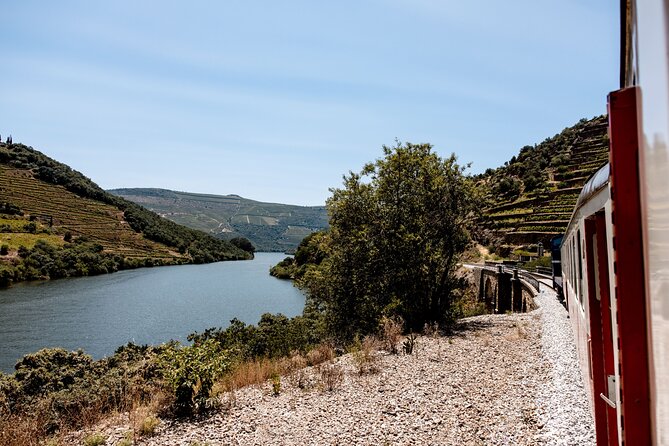 Douro Experience - Boat and Train Ride - Lunch and Wine Tasting - All Included - Vineyard views and port tasting