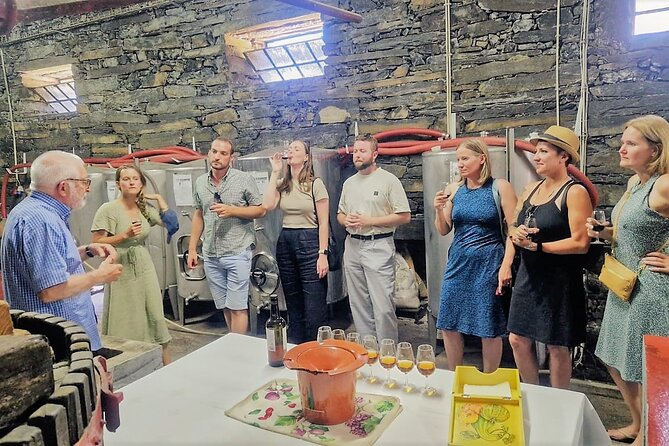 Douro Valley-Expert Guide-Boat-Lunch-Tastings-Offer wine bottle - Seeing the valley from Miradouro Torguiano