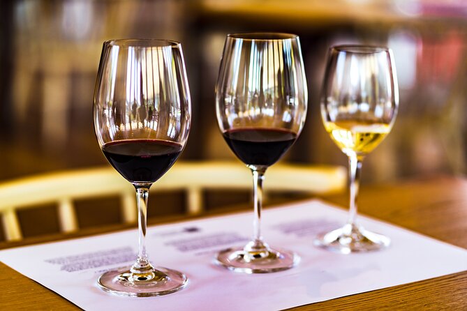 Douro Valley: Historical Sites, Wine Experience, Lunch & Cruise - The vineyard estate and three-wine tasting