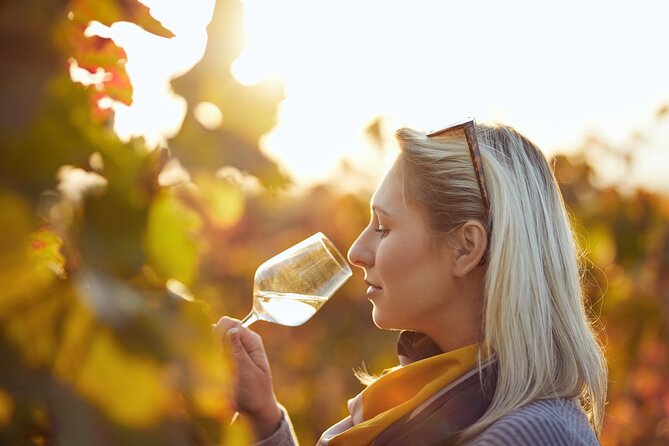 Douro Valley: Historical Sites, Wine Experience, Lunch & Cruise - The N222 road and the approach to Régua