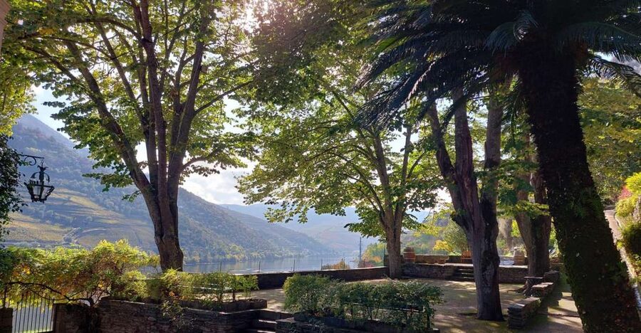 Douro Valley: (Pinhão) Quinta da Foz - Tour&Tasting 5 WINES - Five wines with a clear progression