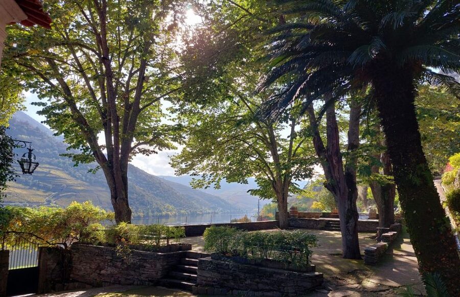 Douro Valley: (Pinhão) Quinta da Foz - Tour&Tasting 5 WINES - The production area comes first