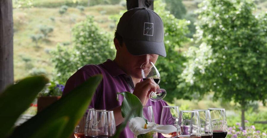Douro Valley: Premium Port Tasting Winery Tour & River Views - Key points at a glance