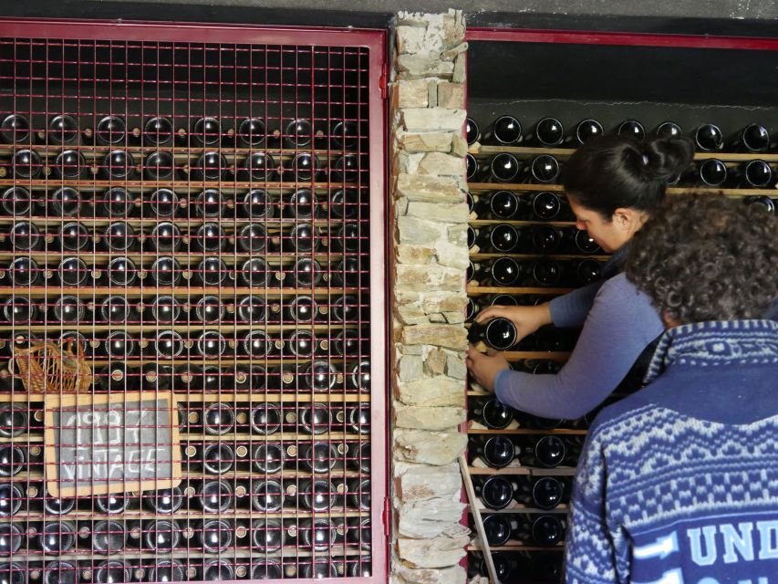 Douro Valley: Premium Port Tasting Winery Tour & River Views - A short visit with a lot packed in