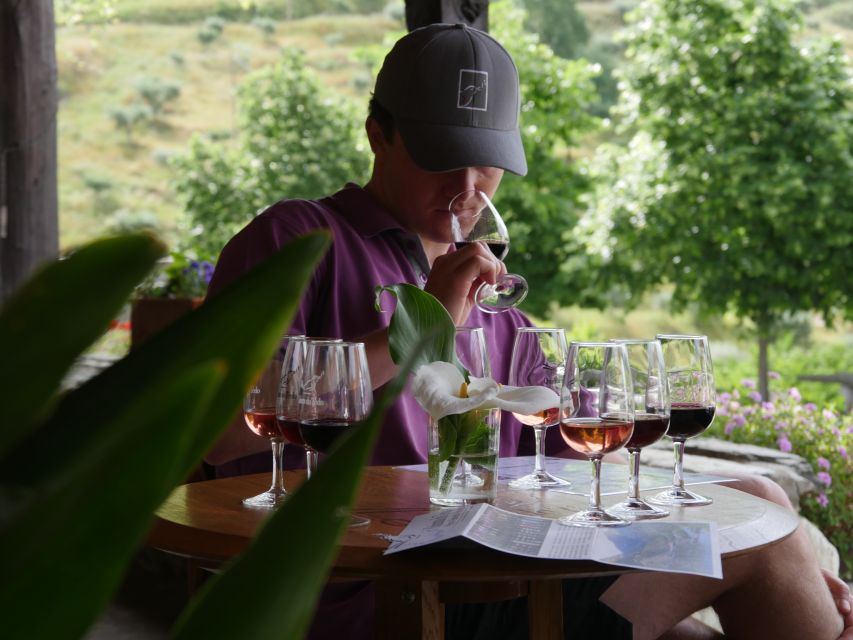 Douro Valley: Premium Port Tasting Winery Tour & River Views - Inside the 18th-century cellars