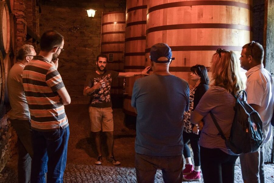 Douro Valley: Quinta do Tedo Wine Experience with Picnic - Key points to know before booking