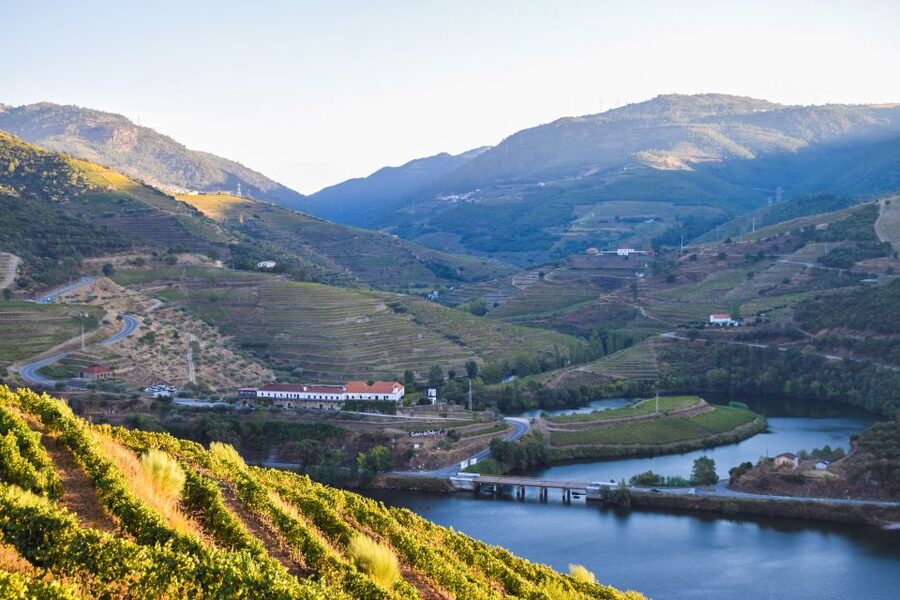 Douro Valley: Quinta do Tedo Wine Experience with Picnic - A Douro picnic with a real sense of place