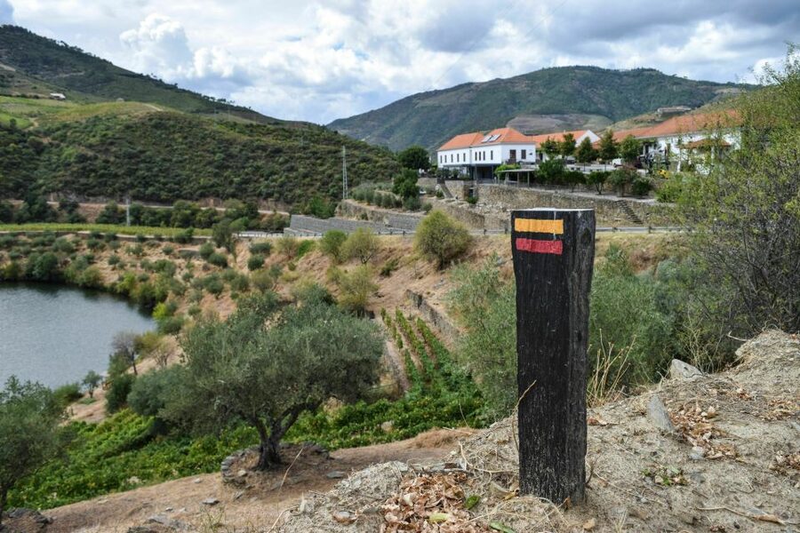 Douro Valley: Quinta do Tedo Wine Experience with Picnic - Touring the vinification center and wine cellars