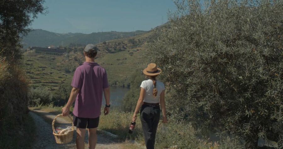Douro Valley: Quinta do Tedo Wine Experience with Picnic - How this compares with a quick tasting