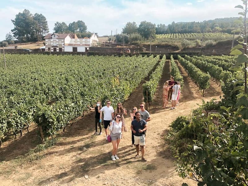 Douro Valley: Real Small-Group, Wine Tasting, Lunch & Boat - The Drive From Porto to the Douro