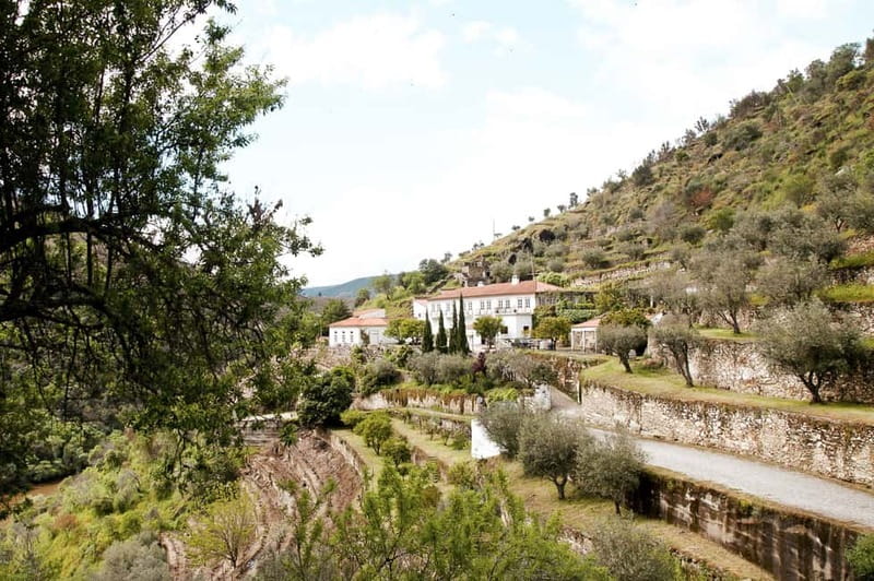 Douro Valley: Real Small-Group, Wine Tasting, Lunch & Boat - Group Size, Guide Quality, and Comfort