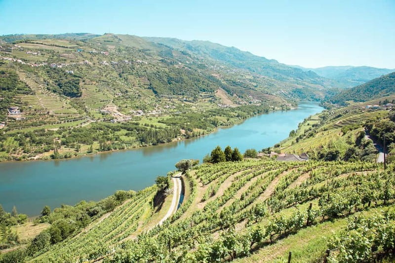 Douro Valley: Real Small-Group, Wine Tasting, Lunch & Boat - First Estate: Port Wine and Portuguese Cheese