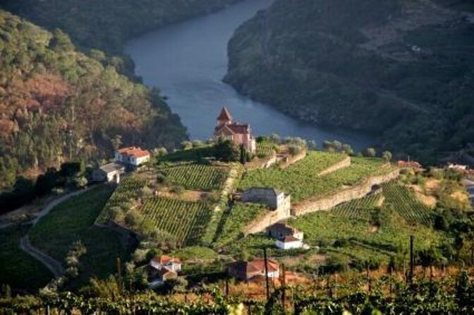 Douro Valley Small-Group Tour with Wine Tasting, Lunch and Boat - Key points before you book