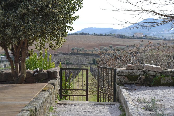 Douro Valley Tour: 2 Vineyard Visits, River Cruise, Winery Lunch - Sabrosa winery lunch: the meal is a major part of the value