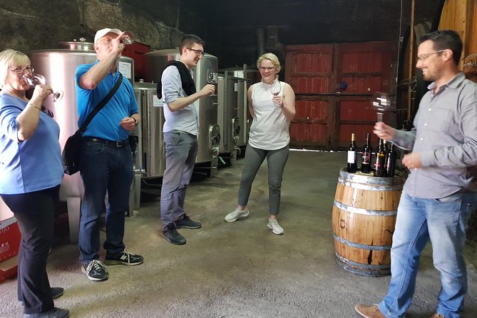 Douro Valley Tour: 2 Vineyard Visits, River Cruise, Winery Lunch - First winery near Lamego: small-scale tasting with a view