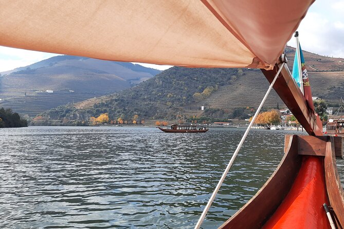 Douro Valley Tour - 3 Wine tastings, Lunch & river Cruise - Amarante ends with a village walk and Vinho Verde