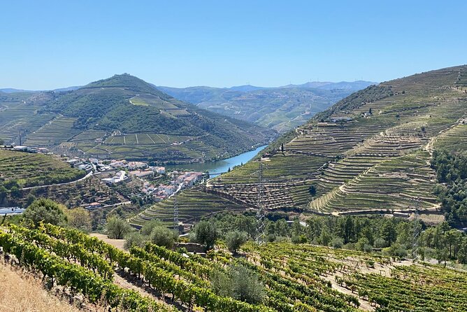 Douro Valley Tour - 3 Wine tastings, Lunch & river Cruise - The guides are a major part of the value