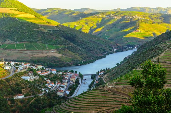 Douro Valley Tour: Wine Tasting, Cruise and Lunch from Porto - A bridge view in Peso da Régua
