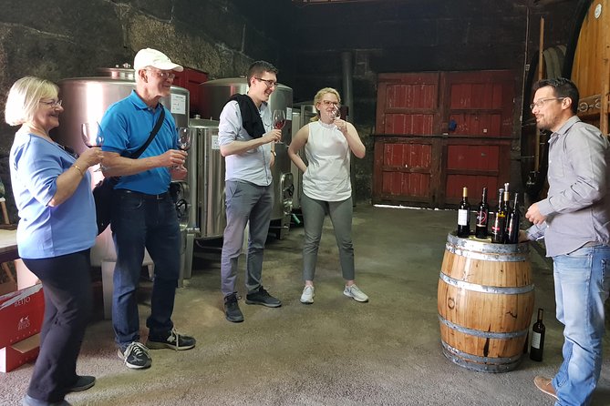Douro Valley Wine Tour: 3 Vineyard Visits, Wine Tastings, Lunch - National Road 222 and the Douro views