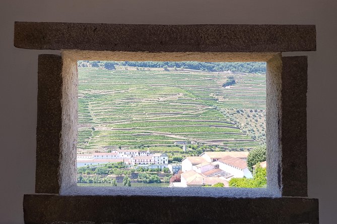 Douro Valley Wine Tour: 3 Vineyard Visits, Wine Tastings, Lunch - Leaving Porto at 8:30 am