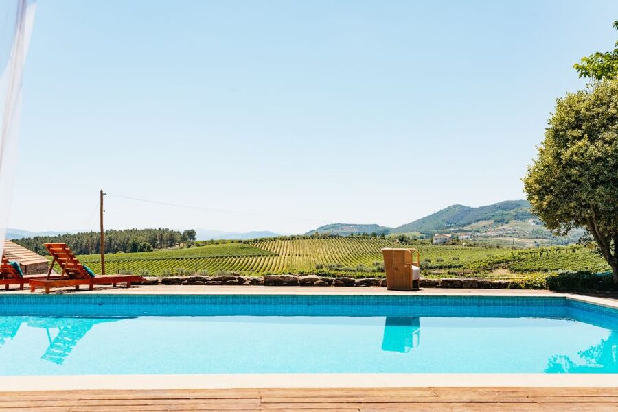 Douro Valley: Wine Tour with Lunch, Tastings & River Cruise - Food, wine, and what is actually included