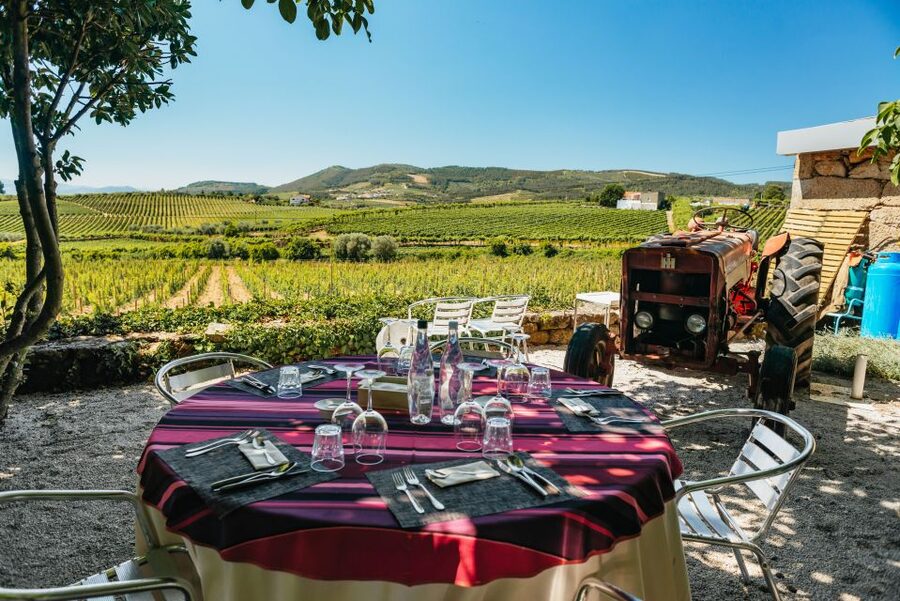 Douro Valley: Wine Tour with Lunch, Tastings & River Cruise - A long lunch with Douro pairings