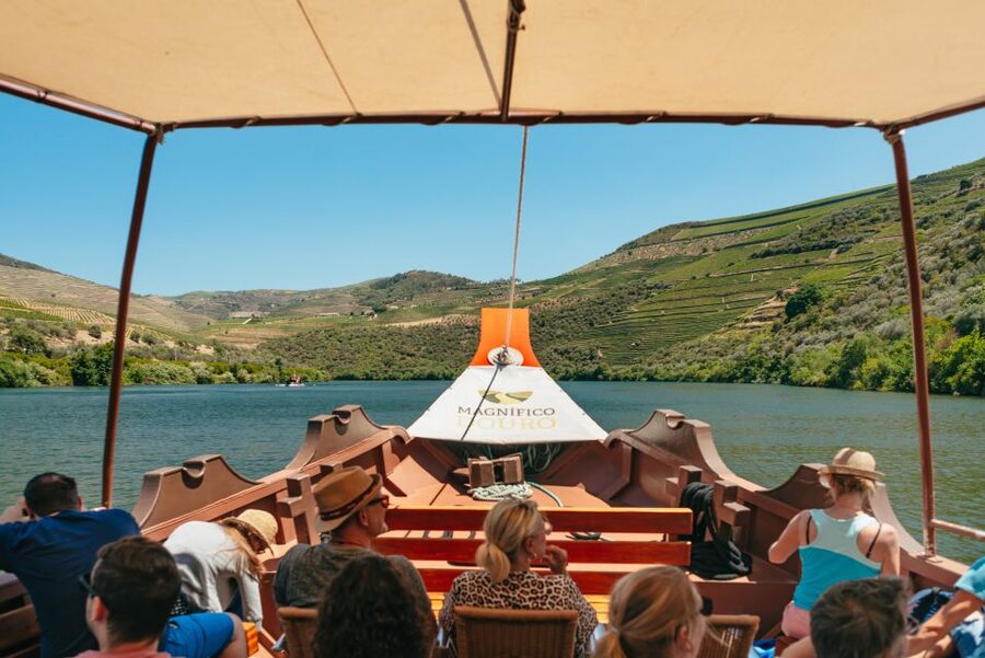 Douro Valley: Wine Tour with Lunch, Tastings & River Cruise - Returning to Porto on the N222
