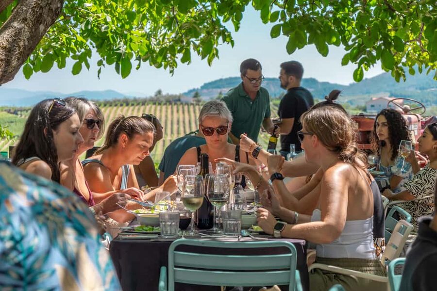 Douro Valley: Wine Tour with Lunch, Tastings & River Cruise - The guides can make or break the day