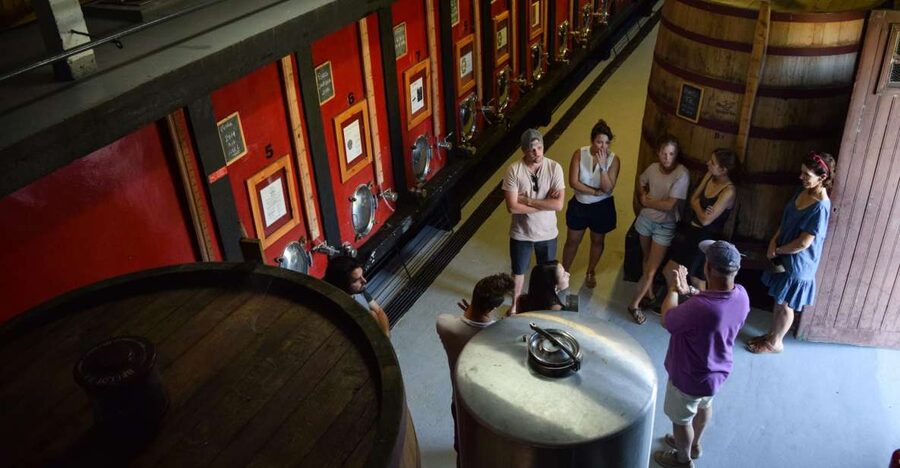 Douro Valley: Winery Tour at Quinta do Tedo and Tastings - Key points at a glance