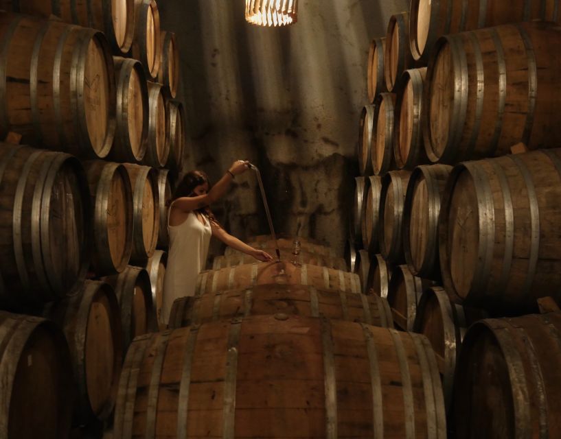 Douro Valley: Winery Tour at Quinta do Tedo and Tastings - Who should book Quinta do Tedo?
