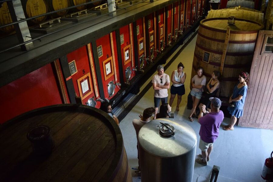 Douro Valley: Winery Tour at Quinta do Tedo and Tastings - The 35-minute estate tour