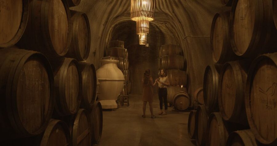 Douro Valley: Winery Tour at Quinta do Tedo and Tastings - The 30-minute tasting above the Douro