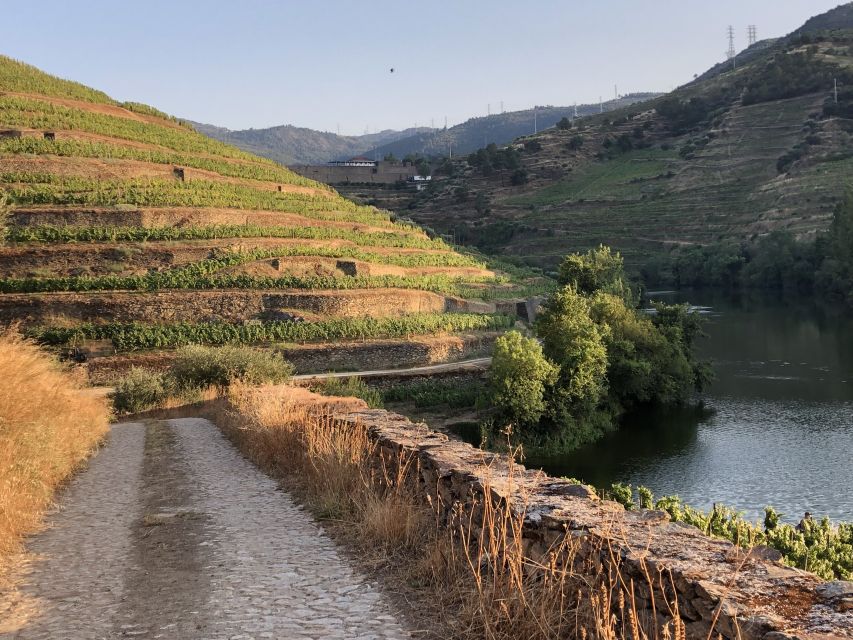 Douro Valley: Winery Tour at Quinta do Tedo and Tastings - Is $42 a fair price?