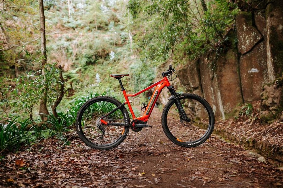 E-Bike Guided Tour - Mountain biking experience - Why this Madeira bike ride is worth your morning