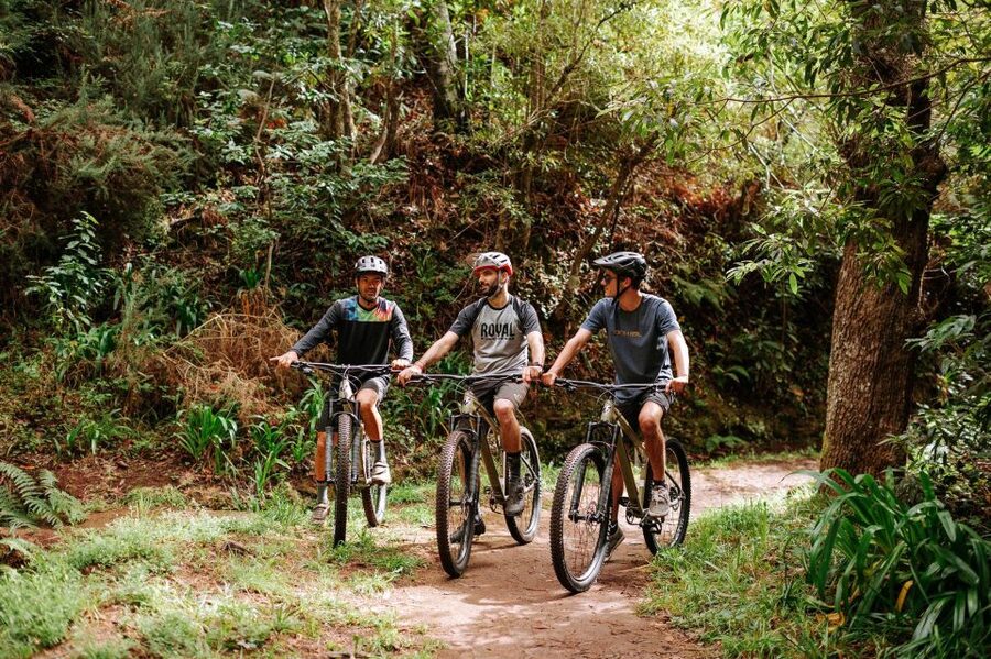E-Bike Guided Tour - Mountain biking experience - From Funchal to Camacha by shuttle