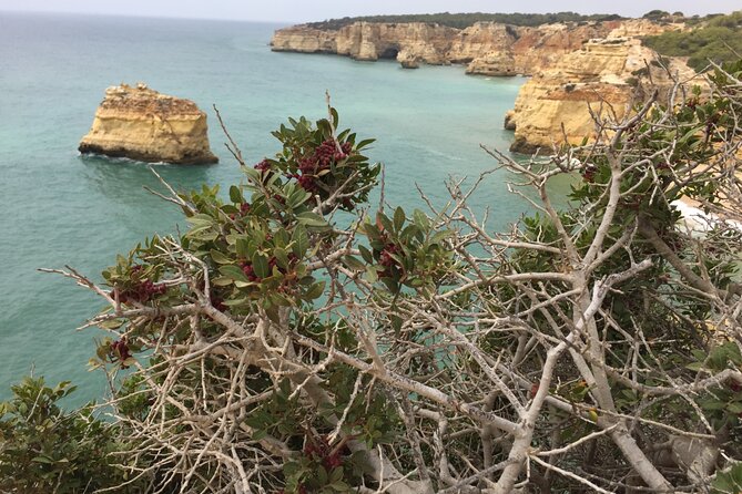 E-Bike Tour: Sete Vales Suspensos Trail (Marinha and Benagil) - Marinha Beach and its natural arches