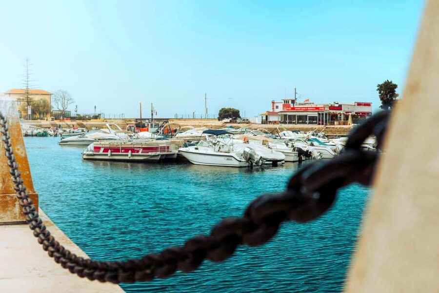 Eastern Portugal: Day Trip to Faro, Olhão, Tavira, & more - Who will get the most from this tour