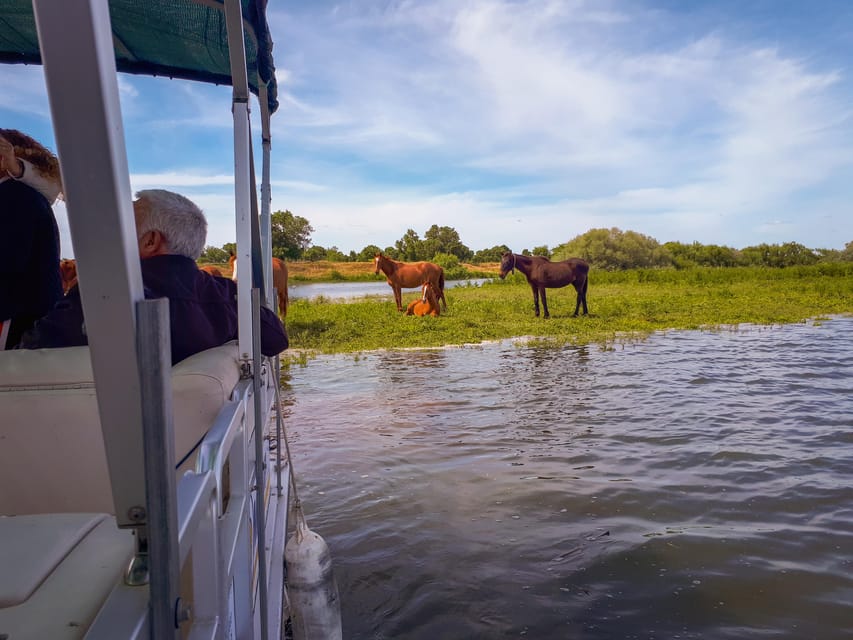 Escaroupim: 1 hour boat trip, guided tour - What the $15 price includes