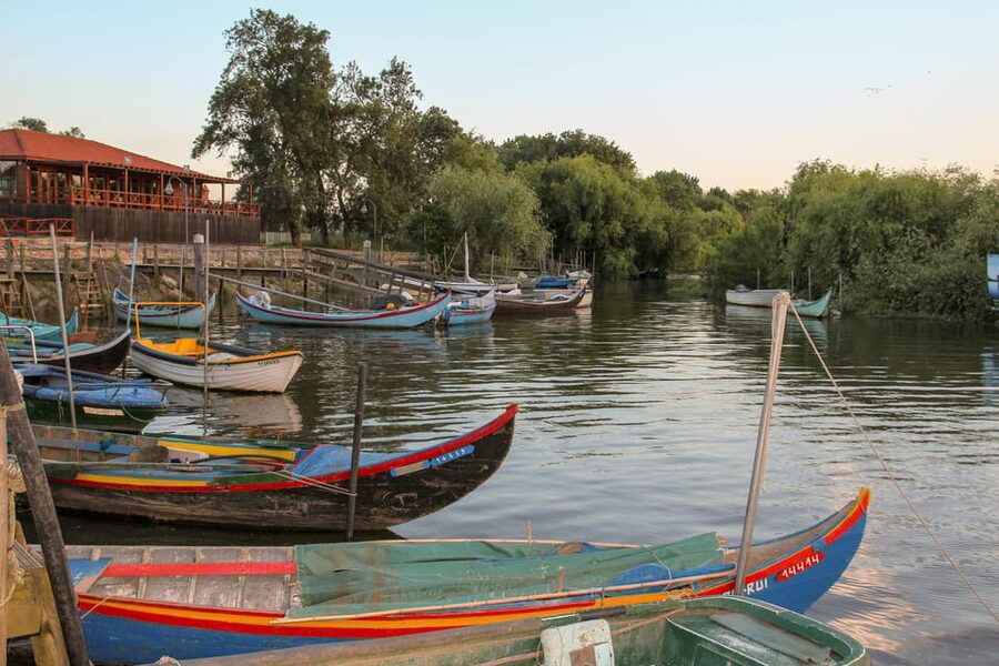 Escaroupim: 1 hour boat trip, guided tour - Wildlife watching along the river